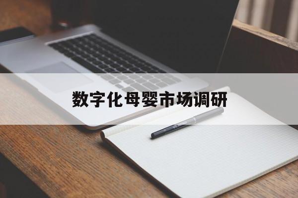 襄阳市数字化母婴市场调研(数字化母婴市场调研报告)
